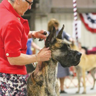 Unleashing the Power of Your Will